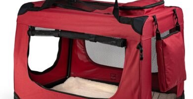 Bolso transportador de gatos