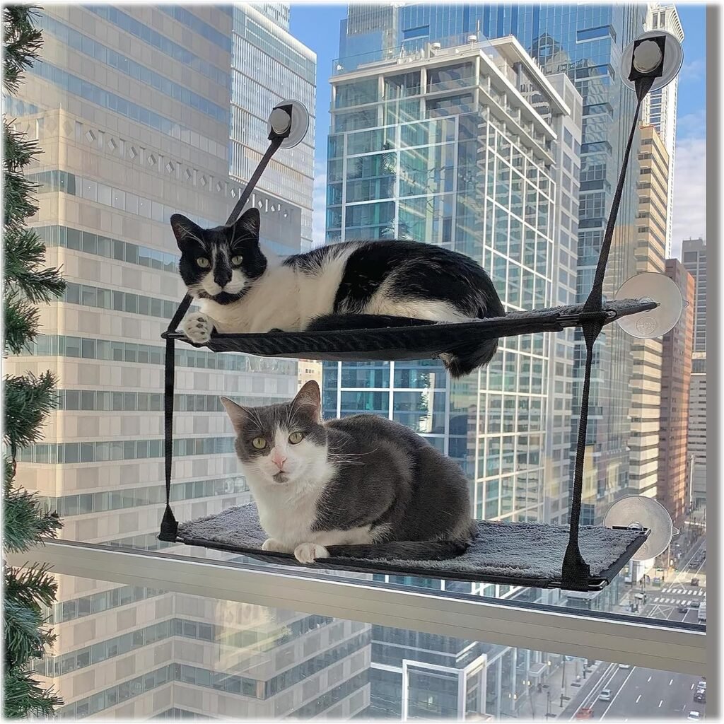 Camas para gatos doble