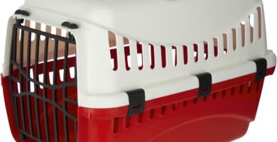 Transportador Rígido para gatos