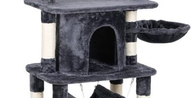 Árboles para gatos