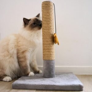 rascador sisal
