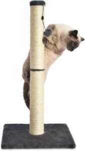 gato en un rascador sisal, palo revestido de cuerda sisal